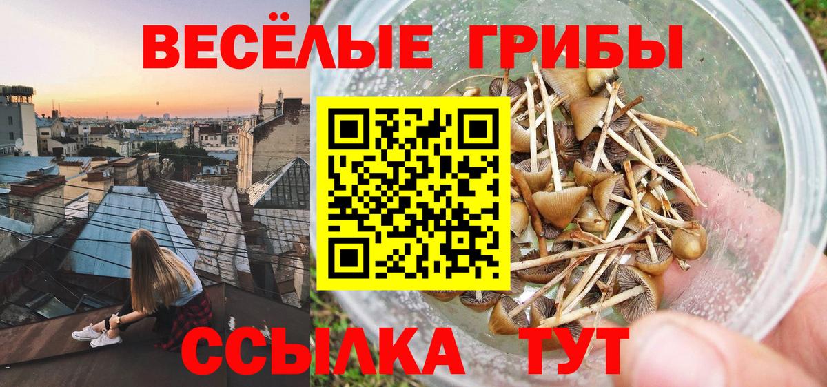 Коммунар  Псилоцибиновые грибы MAGIC MUSHROOMS  Вход с VPN 