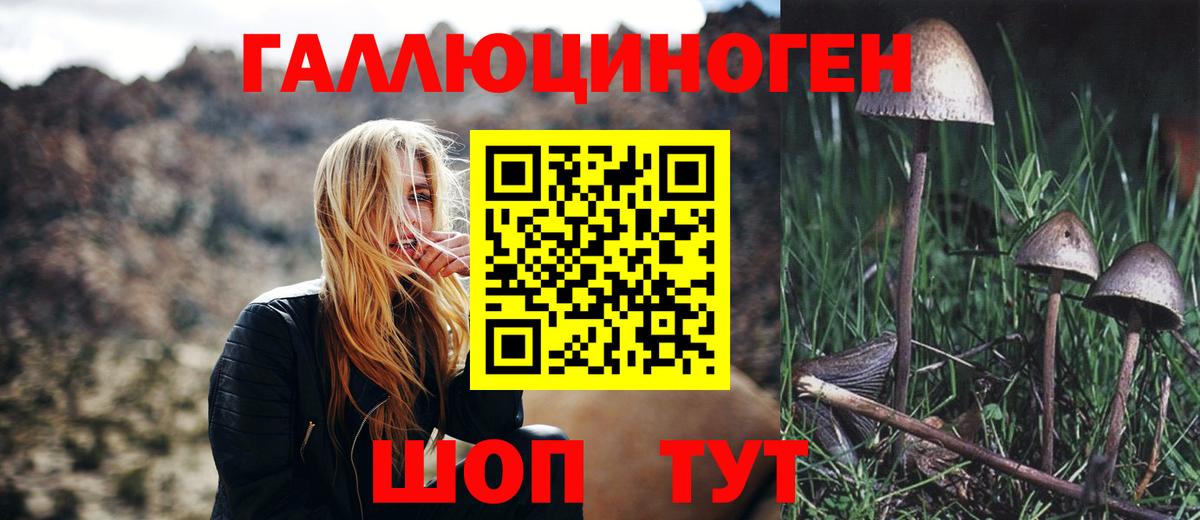 Псилоцибиновые грибы Magic Shrooms Коммунар